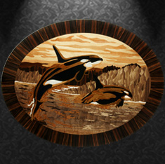 Orcas
