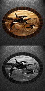 Orcas